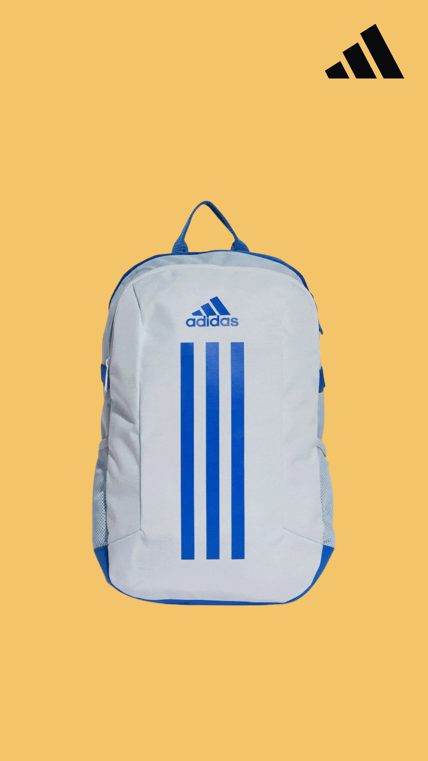 BAGS & ACCESSORIES