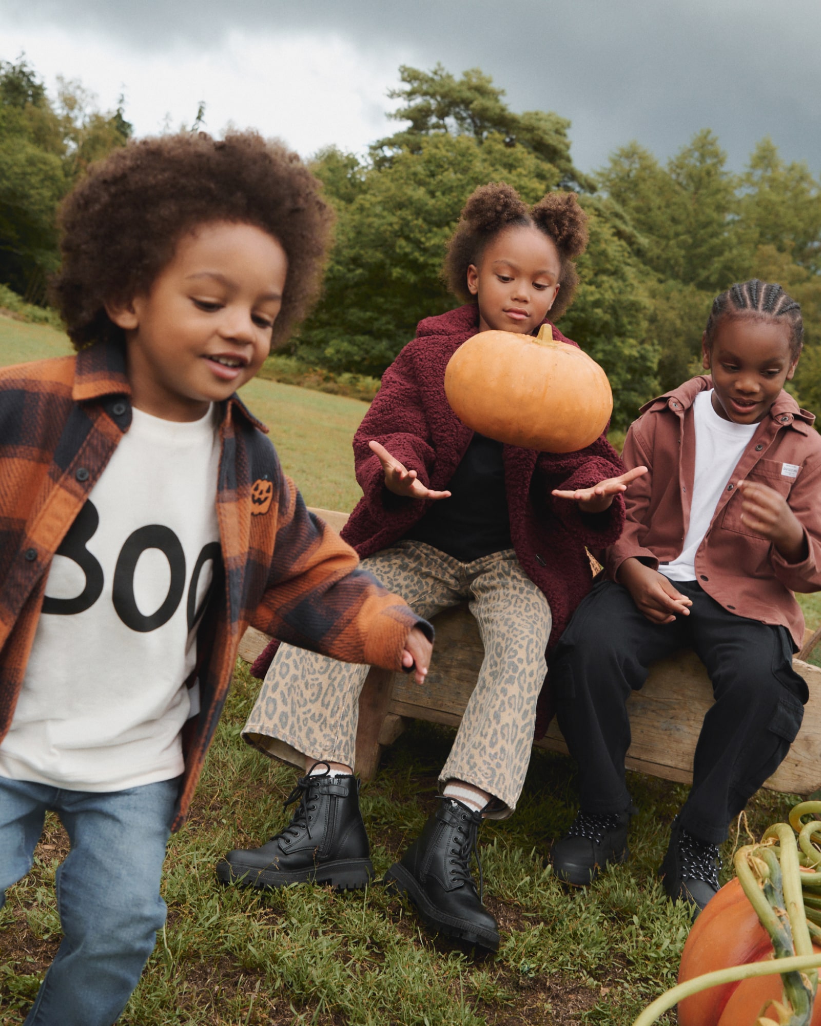 Pick your perfect pumpkin
